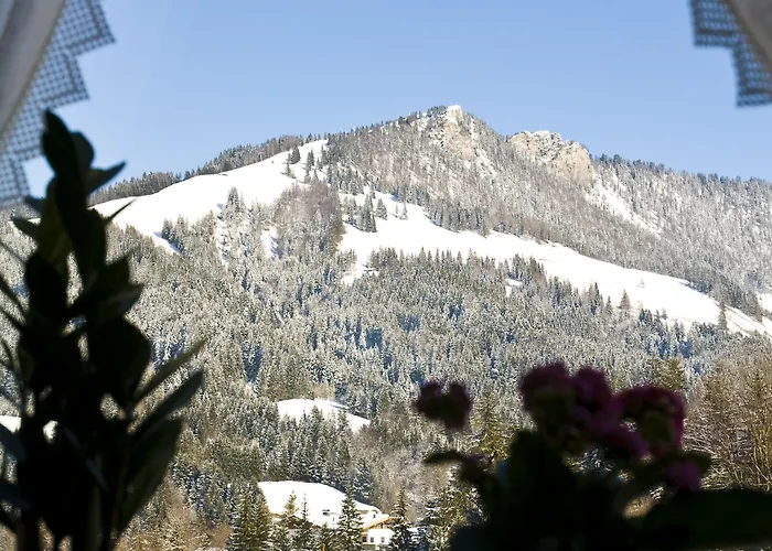 Ξενοδοχείο Hoch Tirol 2*